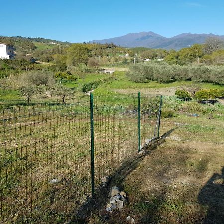 Villetta Nel Verde Ascea Exterior foto