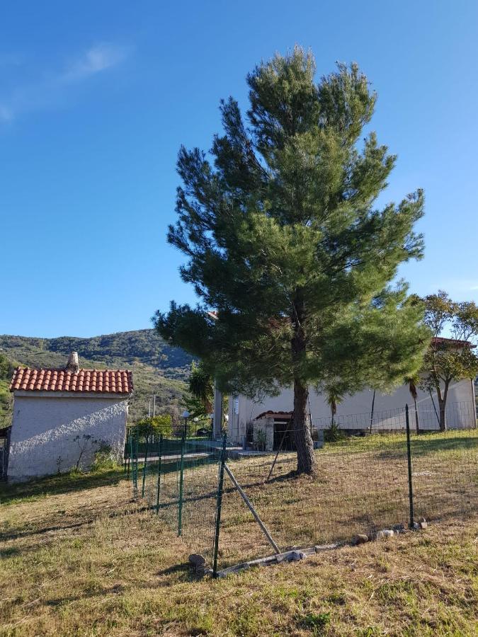 Villetta Nel Verde Ascea Exterior foto
