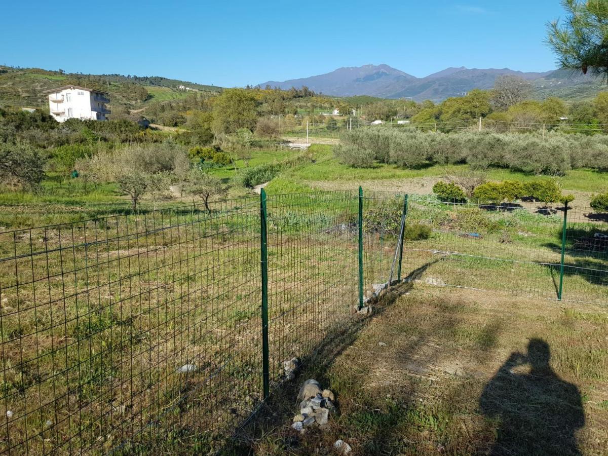 Villetta Nel Verde Ascea Exterior foto