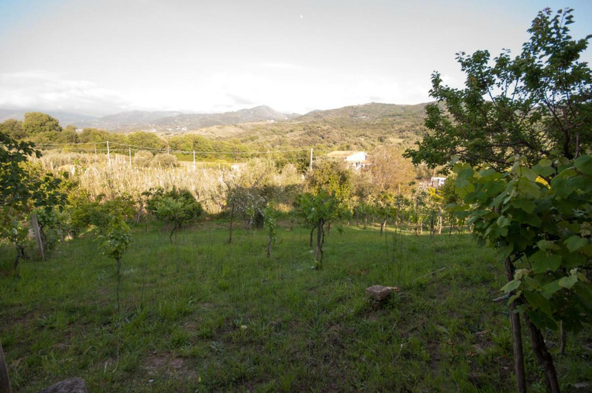 Villetta Nel Verde Ascea Exterior foto